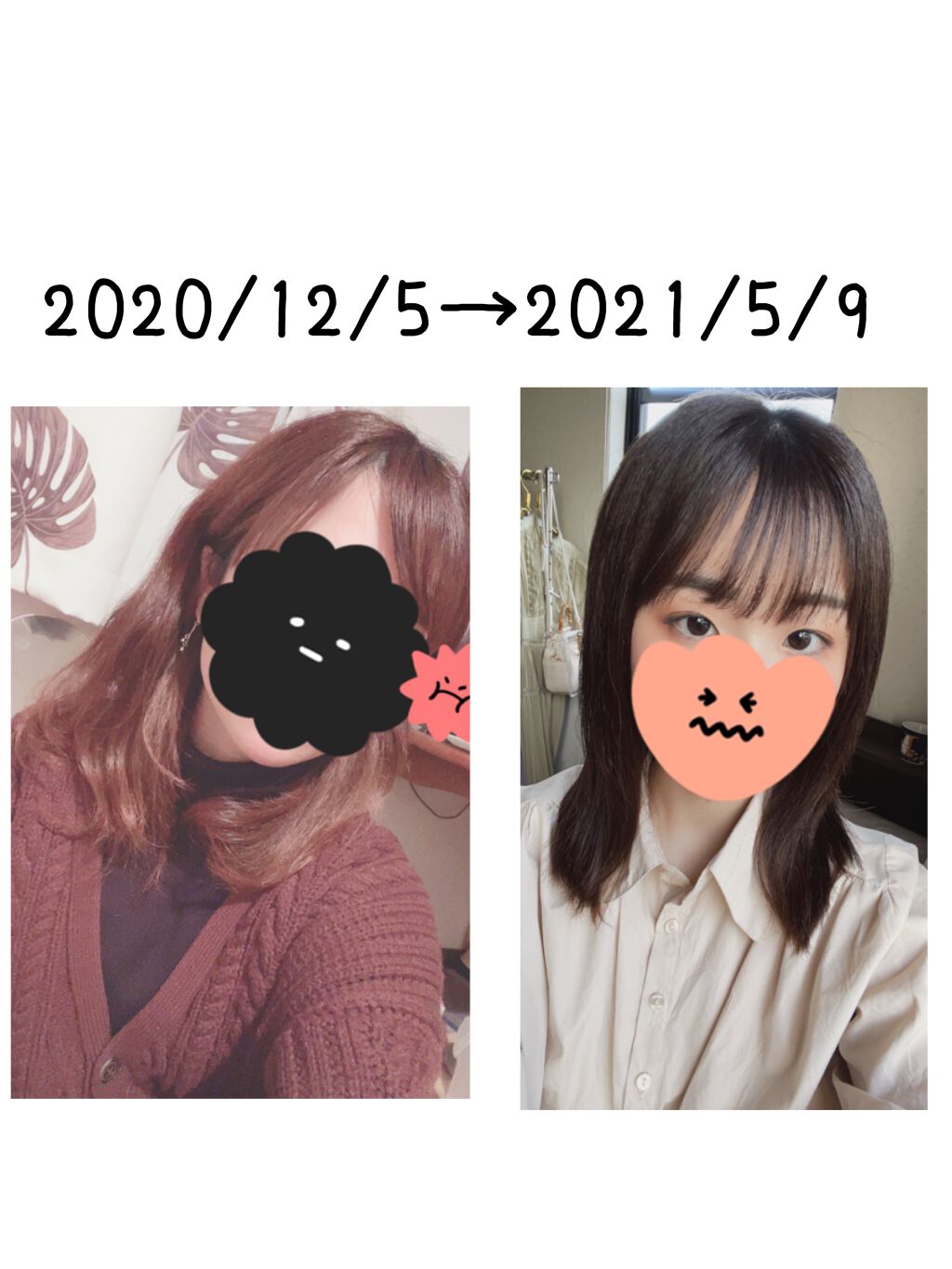 MEDULLA シャンプー／リペア LIGHT/MEDULLA/シャンプー・コンディショナーを使ったクチコミ（1枚目）