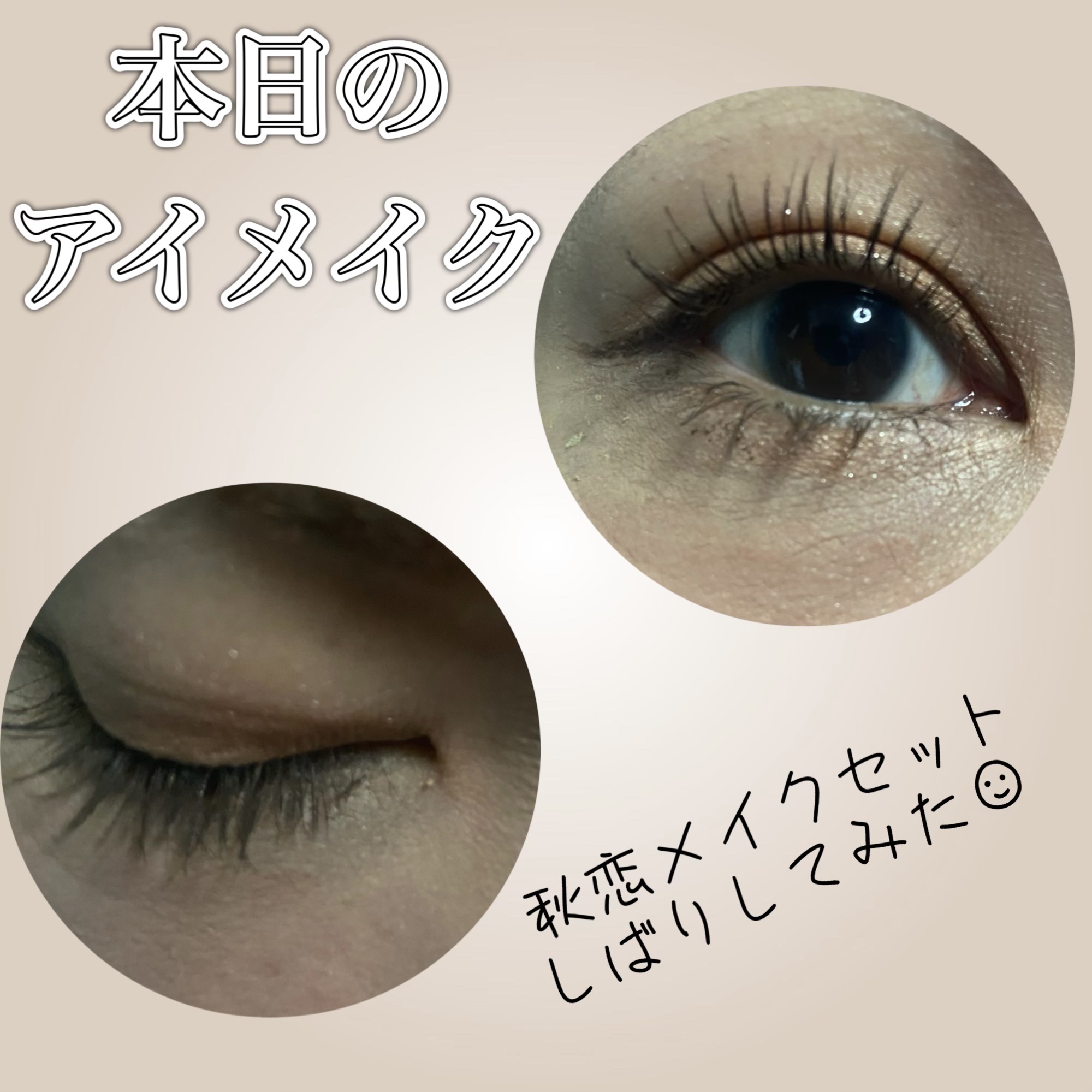 グラデーション アイシャドウ/ちふれ/アイシャドウパレットを使ったクチコミ（1枚目）