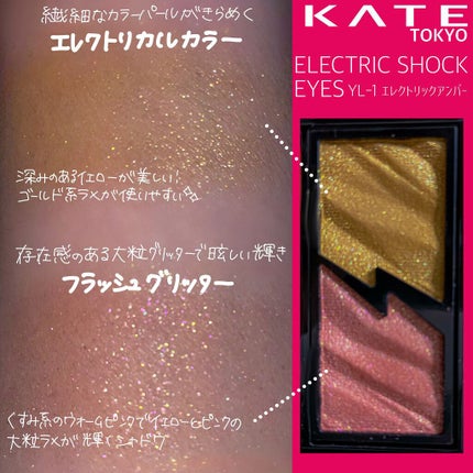 エレクトリックショックアイズ /KATE/アイシャドウパレットを使ったクチコミ(2枚目)