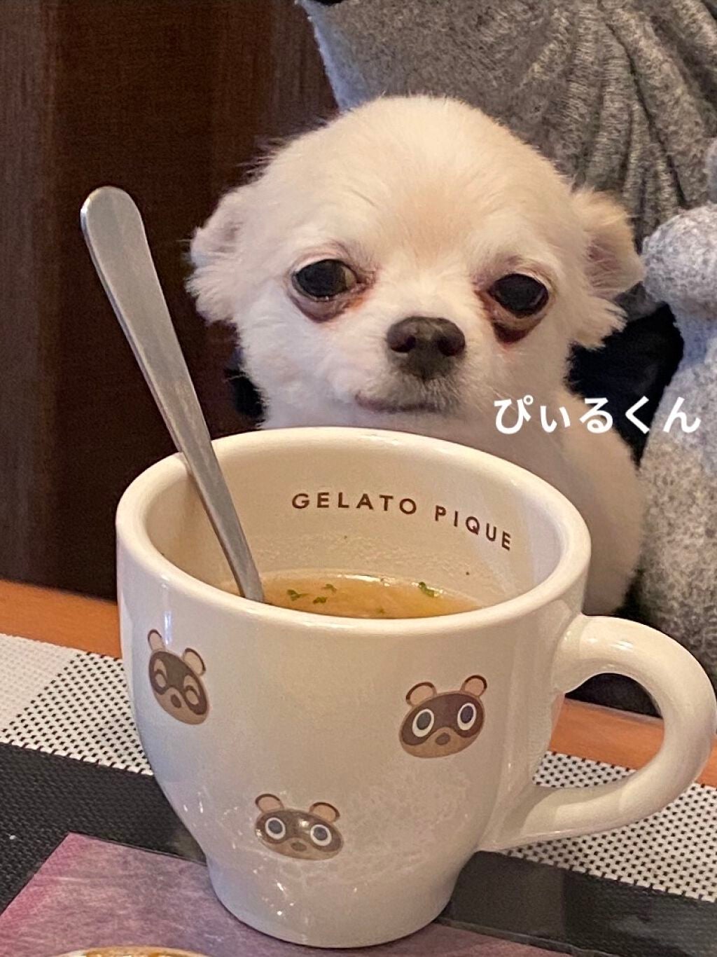 ジルスチュアート ブルームドロップ リップ&チーク シフォン/JILL STUART/リキッドチークを使ったクチコミ(8枚目)