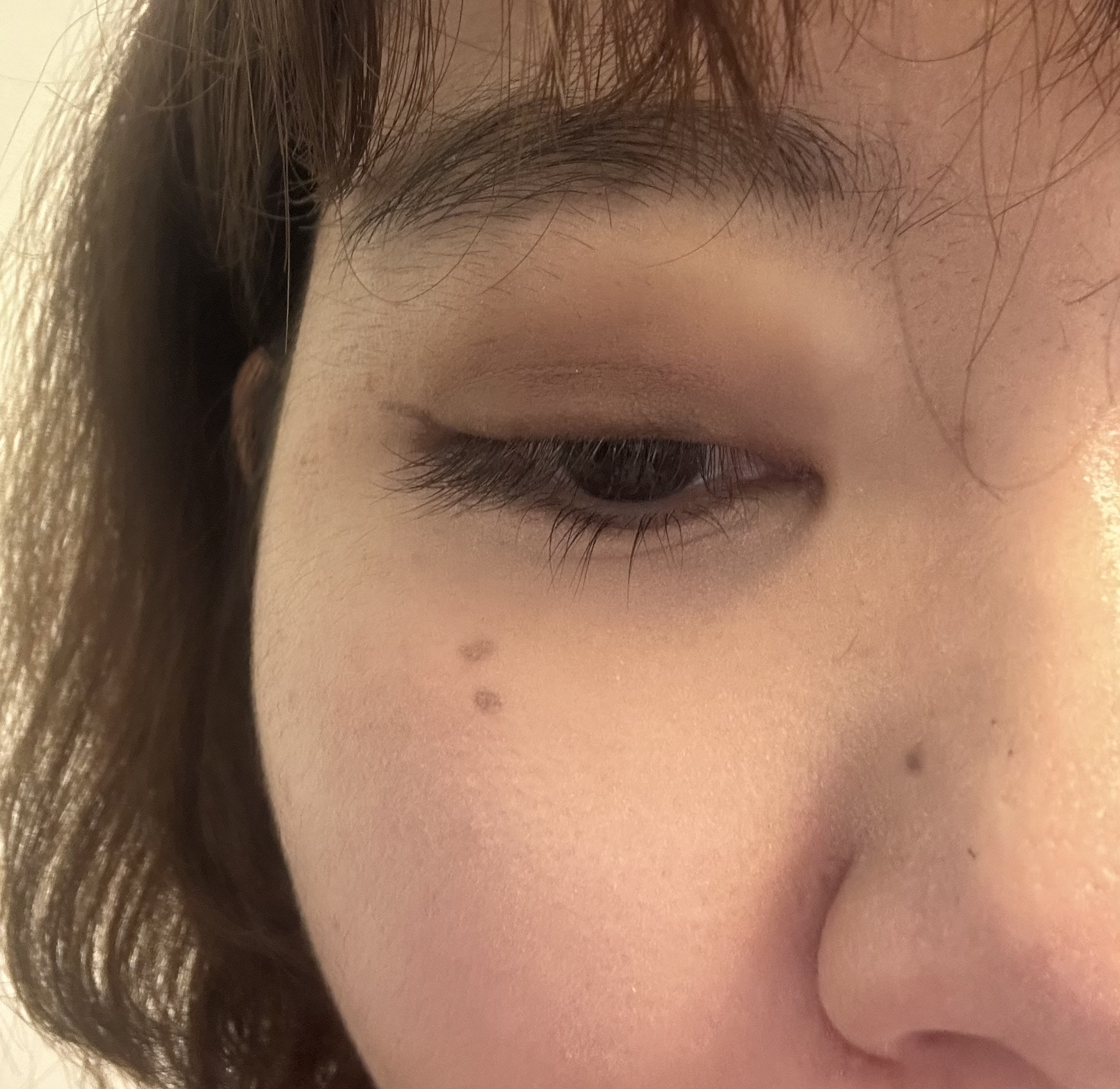 プロコレクション36カラー/Dolly Angel/アイシャドウパレットを使ったクチコミ（1枚目）