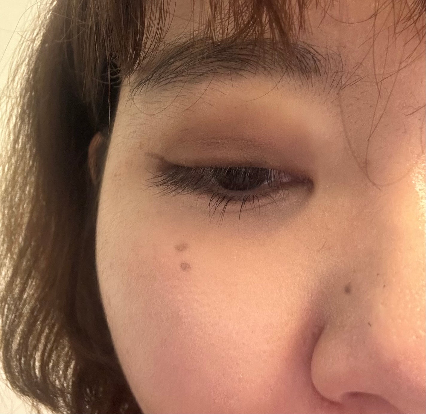 プロコレクション36カラー/Dolly Angel/アイシャドウパレットを使ったクチコミ(1枚目)