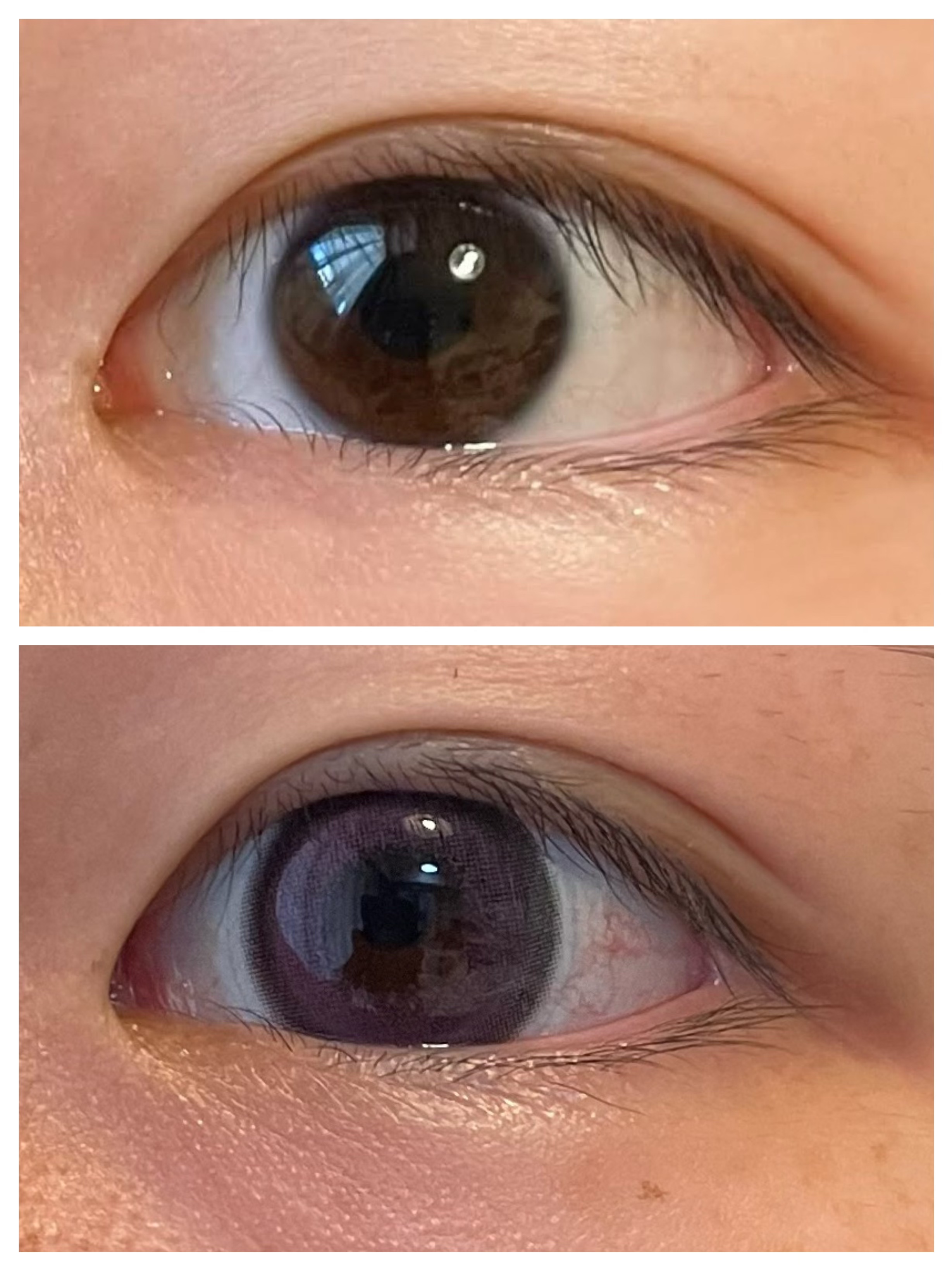 1-DAY Refrear dolemi ロマンスグレープ/Refrear/ワンデー（１DAY）カラコンを使ったクチコミ（2枚目）