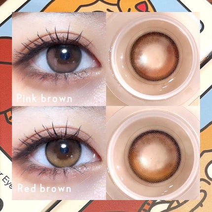 Secretive Kristen/Hapa kristin/カラーコンタクトレンズを使ったクチコミ(2枚目)