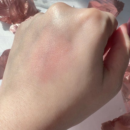 CACマルチフェイスブラシ/CAC/メイクブラシを使ったクチコミ(2枚目)