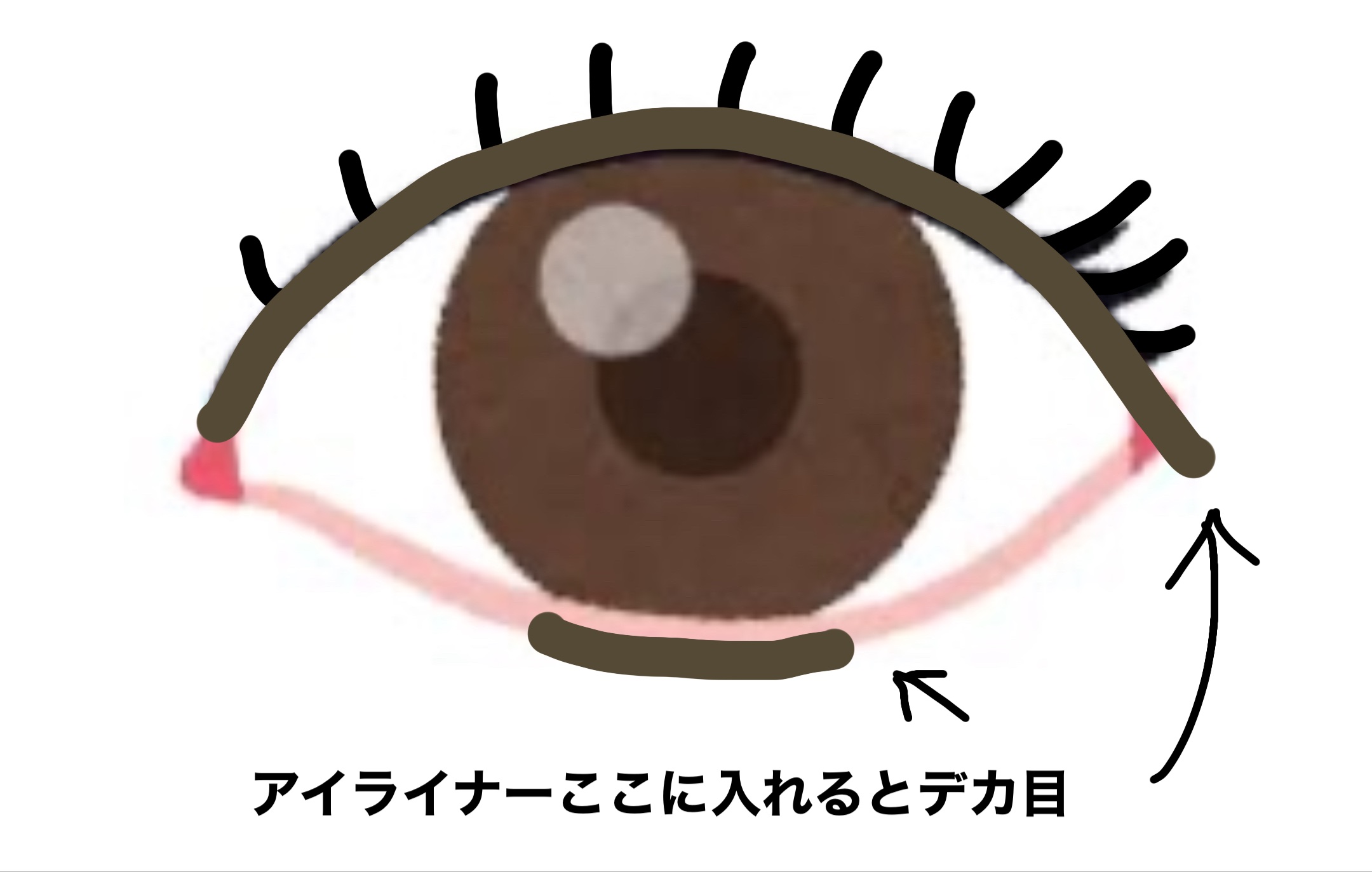 パーフェクトエクステンション マスカラ for カール/D-UP/マスカラを使ったクチコミ（3枚目）