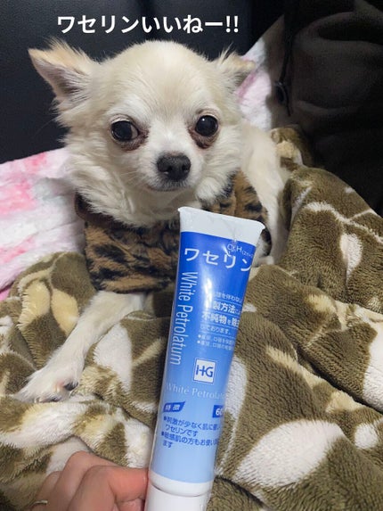 ワセリンHG チューブ (化粧用油)/大洋製薬/ボディクリームを使ったクチコミ(8枚目)