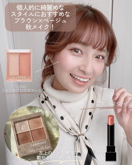 シルキースフレアイズ(マットタイプ)/キャンメイク/アイシャドウパレットを使ったクチコミ(5枚目)