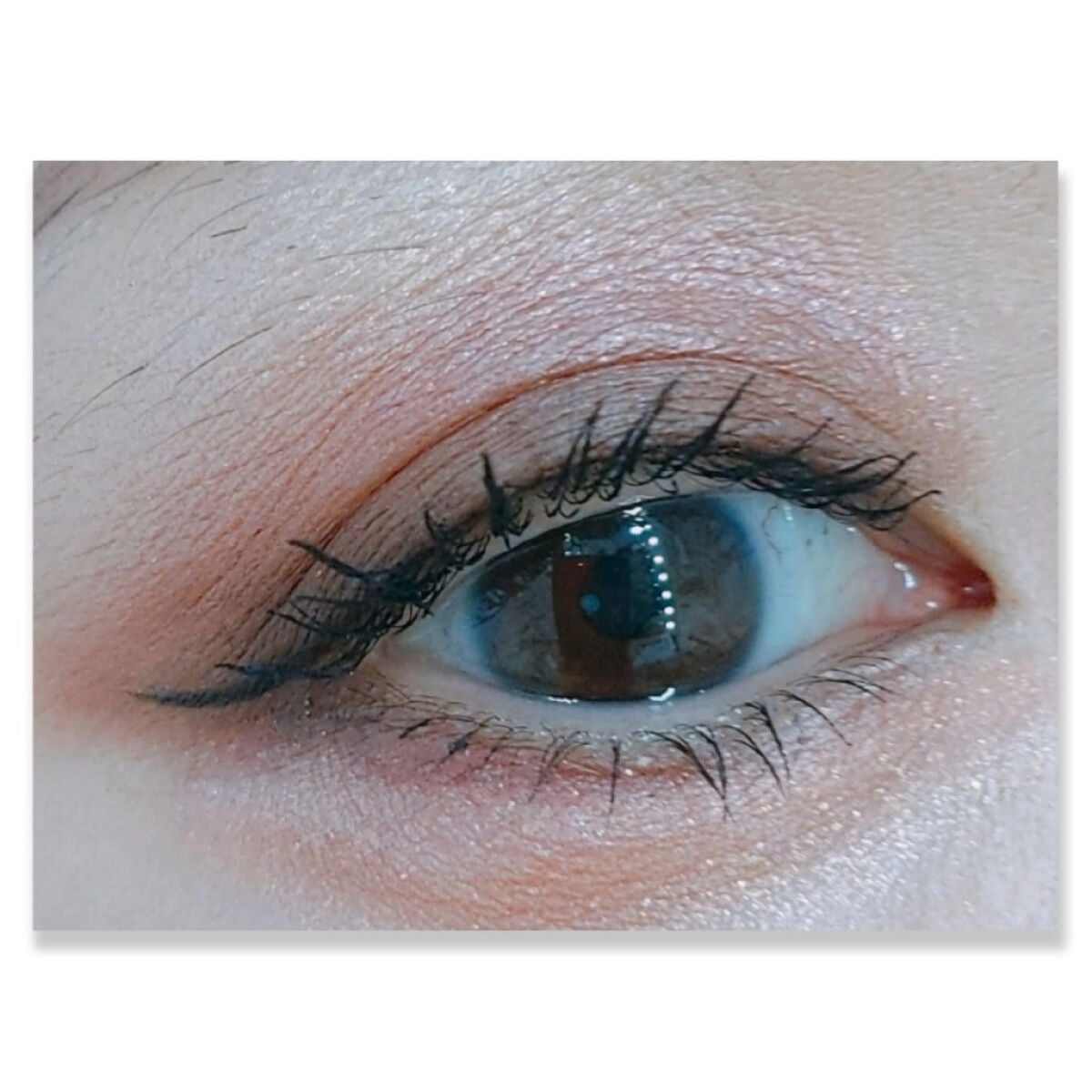 わんだふるアイカラー/KIREI FACTORY/アイシャドウパレットを使ったクチコミ(3枚目)