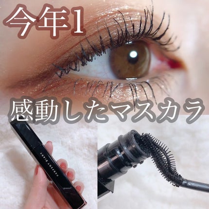 スキルレスライナー/LUMIURGLAS/リキッドアイライナーを使ったクチコミ(1枚目)