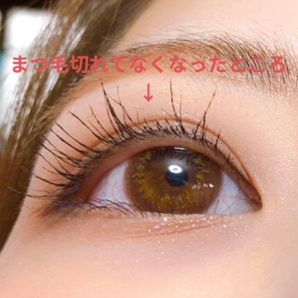 RiPiれるまつげ RP-18 ハニーミックス/アネックスジャパン/つけまつげの画像