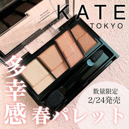 デザイニングブラウンアイズ/KATE/アイシャドウパレットを使ったクチコミ(1枚目)