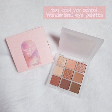 TAG WONDERLAND EYE PALETTE/too cool for school/アイシャドウパレットを使ったクチコミ（1枚目）