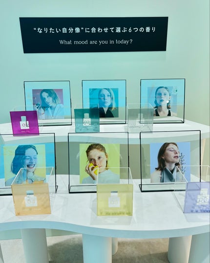 モイストソフナー 03モイスチャーレススカルプ/Sorule/市販シャンプーを使ったクチコミ(6枚目)