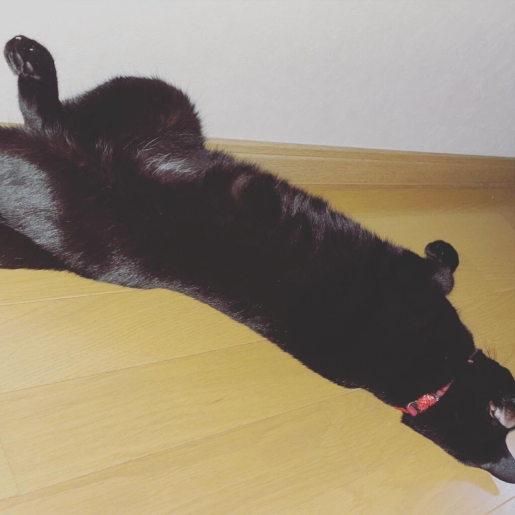 ððððð on LIPS ã..ãïŒ6æç®ïŒ