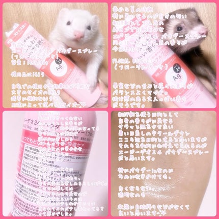 パウダースプレー(フローラルブーケ)/エージーデオ24/デオドラント・制汗剤を使ったクチコミ(8枚目)