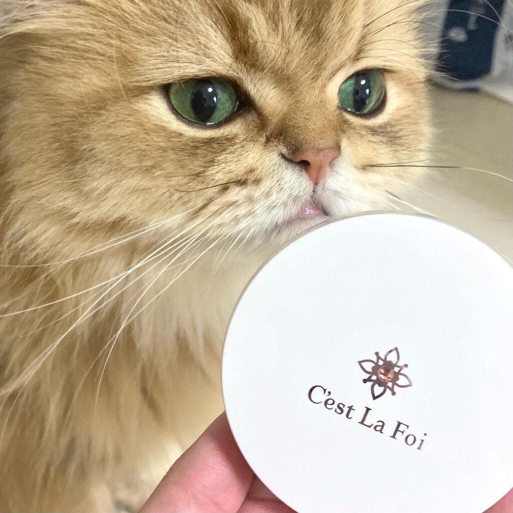 エッセンスパウダー /セラフォア/プレストパウダーを使ったクチコミ(3枚目)