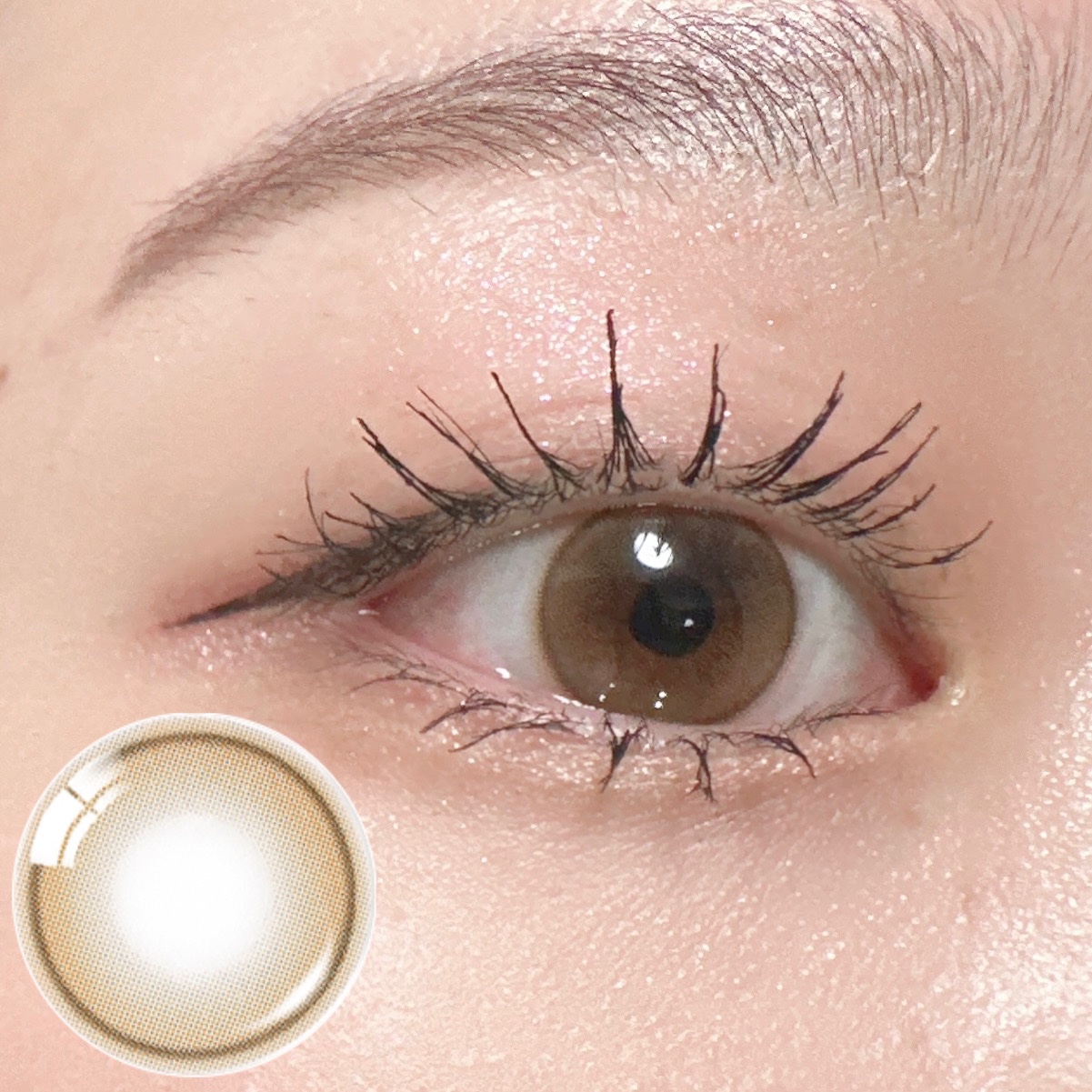 ShineTouch 1day ミルキーブラウン/OLENS/ワンデー（１DAY）カラコンを使ったクチコミ（2枚目）