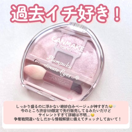 プランぷくコーデアイズ/キャンメイク/パウダーアイシャドウを使ったクチコミ(8枚目)