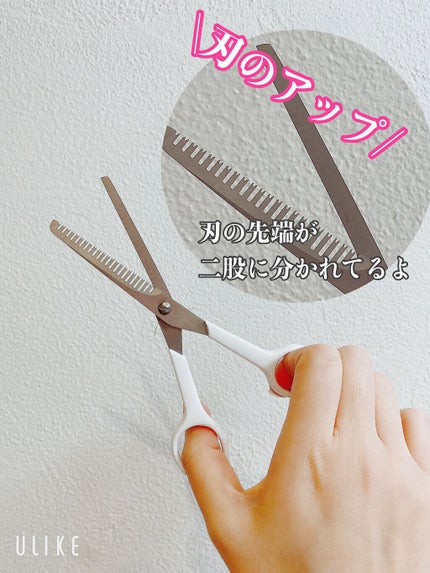 すきバサミ/DAISO/その他スタイリングを使ったクチコミ(2枚目)