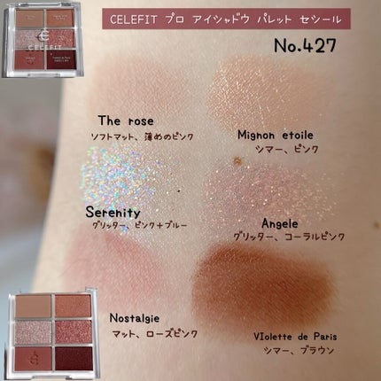 プロアイシャドウパレットセシル/CELEFIT/アイシャドウパレットを使ったクチコミ(2枚目)