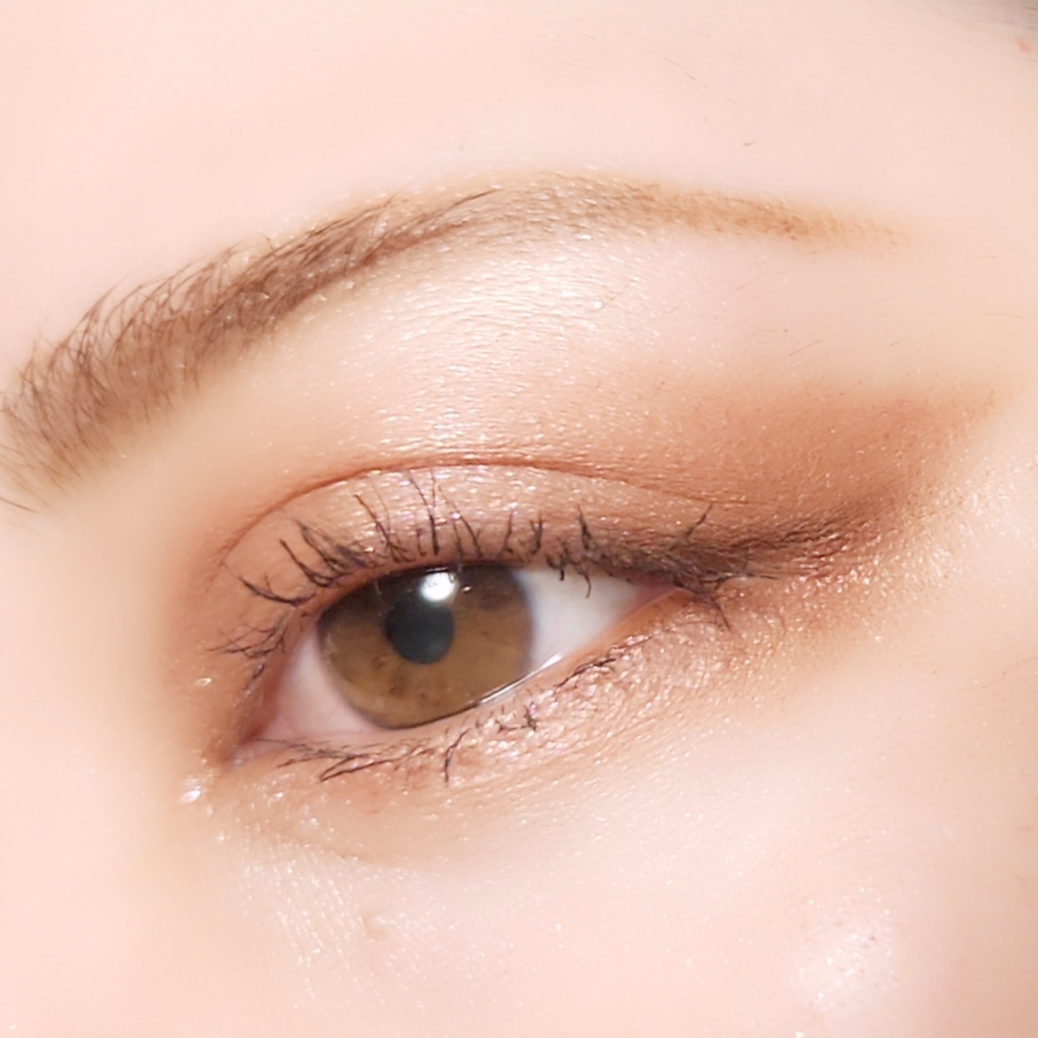 ホーリーモリーレイヤーパレット 05 フォールインブラウン/HAKIT/アイシャドウパレットを使ったクチコミ（2枚目）