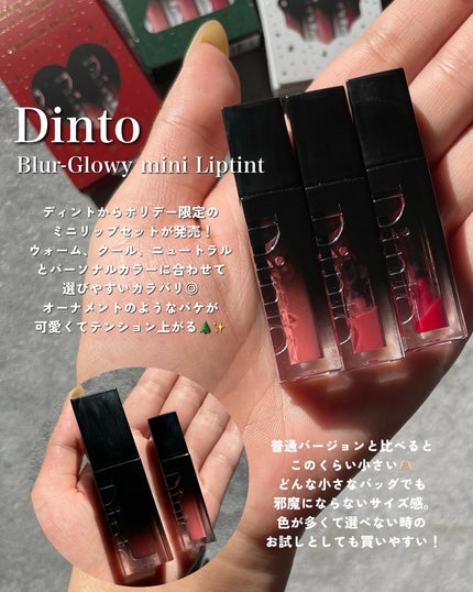 ブラーグロイリップティント/Dinto/リップティントを使ったクチコミ(2枚目)