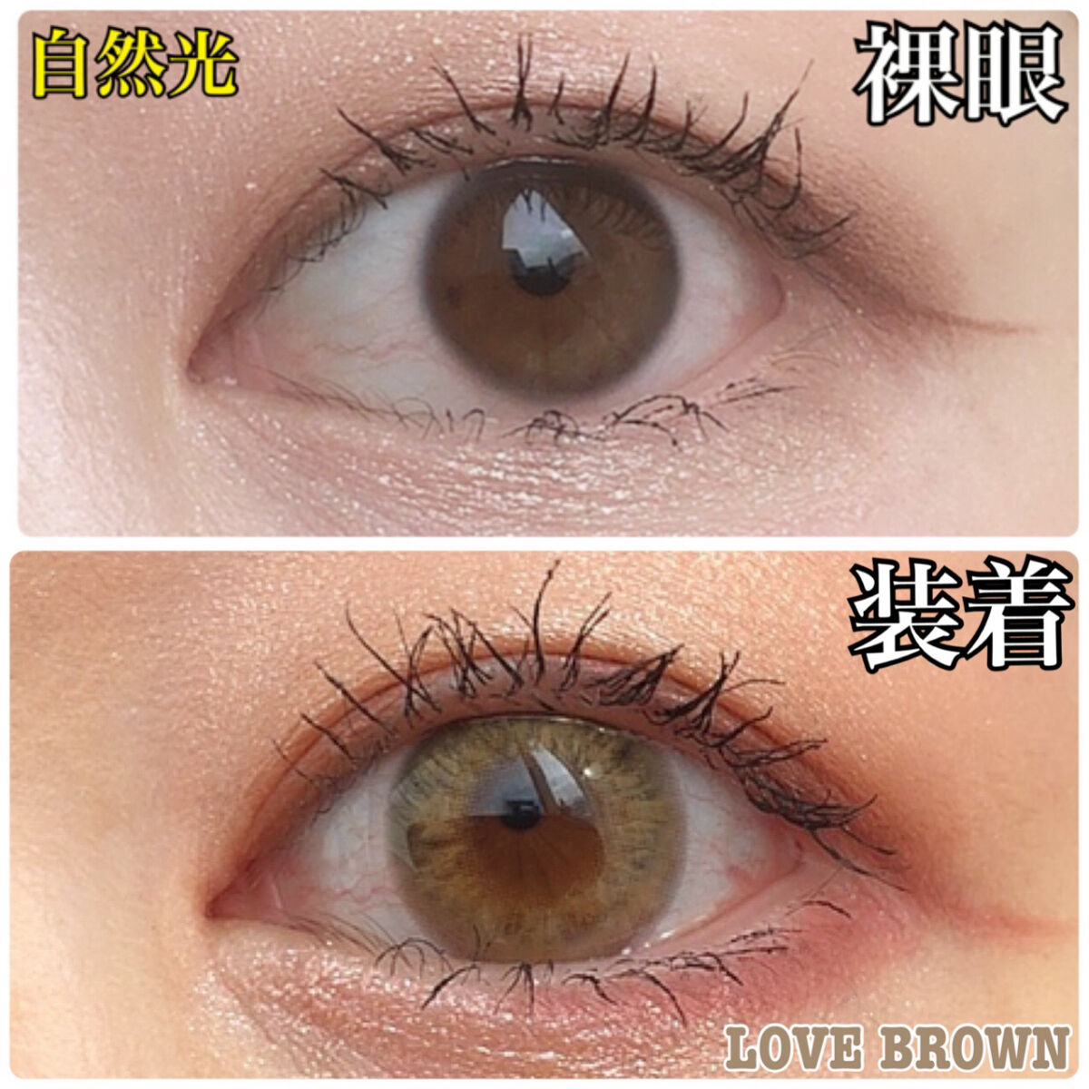 i-sha/蜜のレンズ/カラーコンタクトレンズを使ったクチコミ（3枚目）