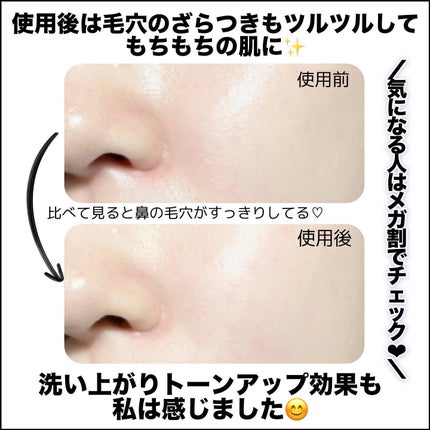 プレミアムもちソープ「グリーンアルティザン」/アレンシア/その他洗顔料を使ったクチコミ(6枚目)