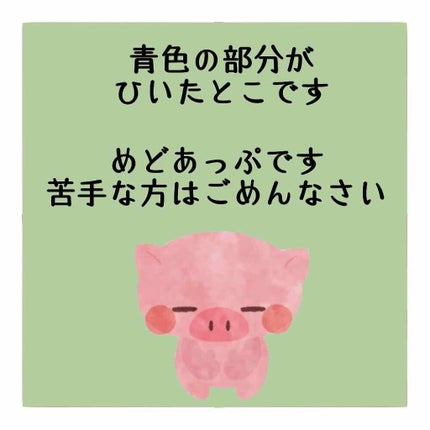 モテライナー リキッド/UZU BY FLOWFUSHI/リキッドアイライナーを使ったクチコミ(2枚目)