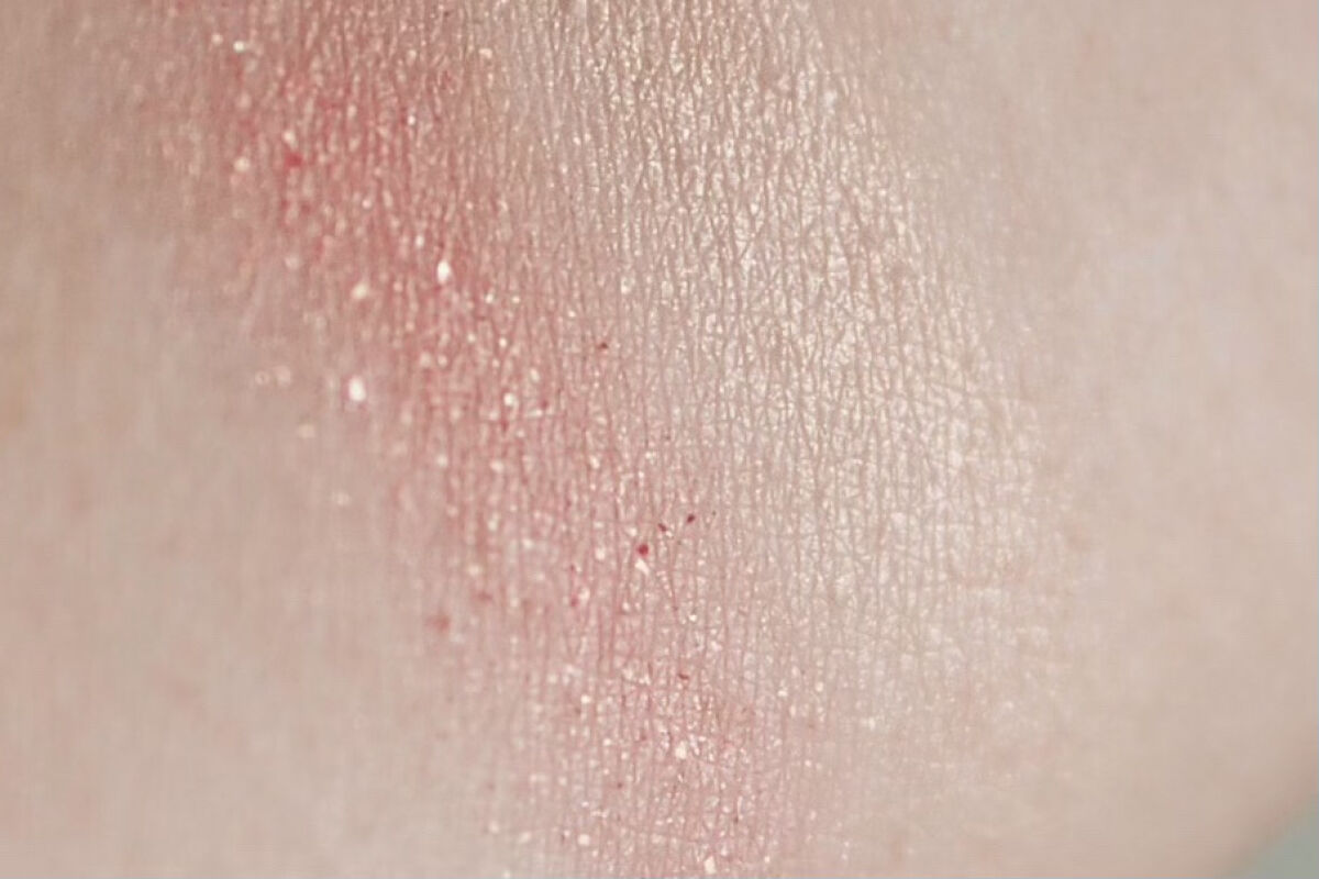 eyeshadow/SLN/単色アイシャドウを使ったクチコミ（3枚目）