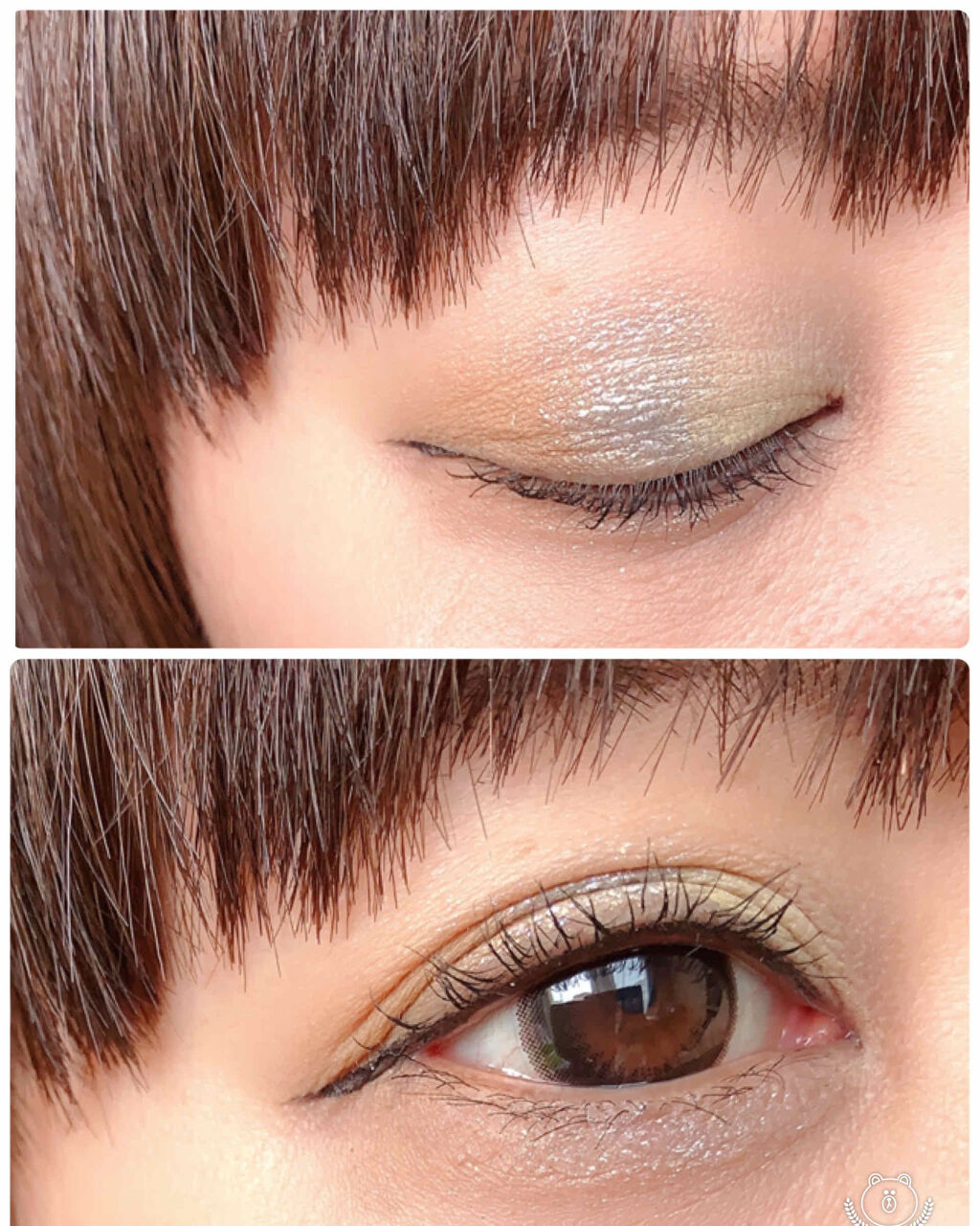 Venus Marble アイシャドウキャットシリーズ アメリカンショートヘア/Venus Marble/アイシャドウパレットを使ったクチコミ（3枚目）