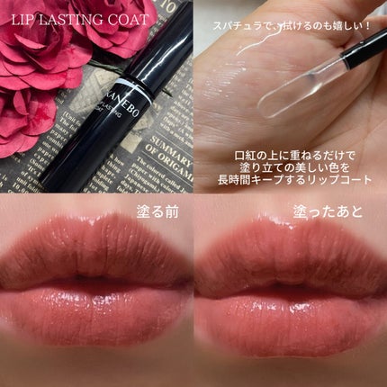 カネボウ Nールージュ/KANEBO/口紅を使ったクチコミ(4枚目)