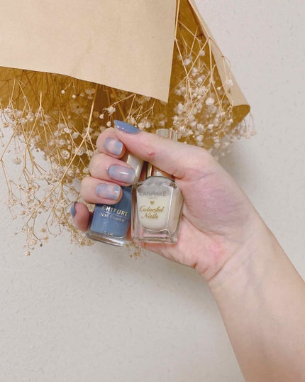 ネイル エナメル/ちふれ/マニキュアを使ったクチコミ(1枚目)