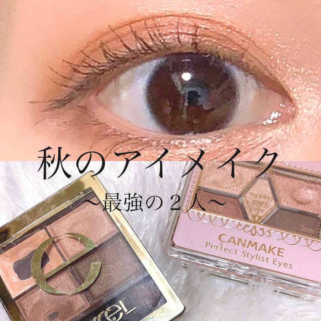 【旧品】パーフェクトスタイリストアイズ/キャンメイク/アイシャドウパレットを使ったクチコミ（1枚目）