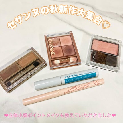 アイブロウワックス&パウダー/CEZANNE/アイブロウを使ったクチコミ(1枚目)