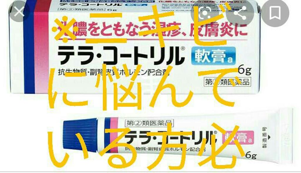 テラ・コートリル 軟膏(医薬品)/ジョンソン・エンド・ジョンソン/その他を使ったクチコミ(1枚目)