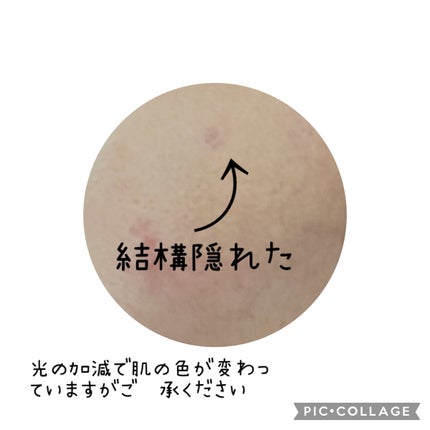 カバーパーフェクション チップコンシーラー/the SAEM/リキッドコンシーラーを使ったクチコミ(4枚目)