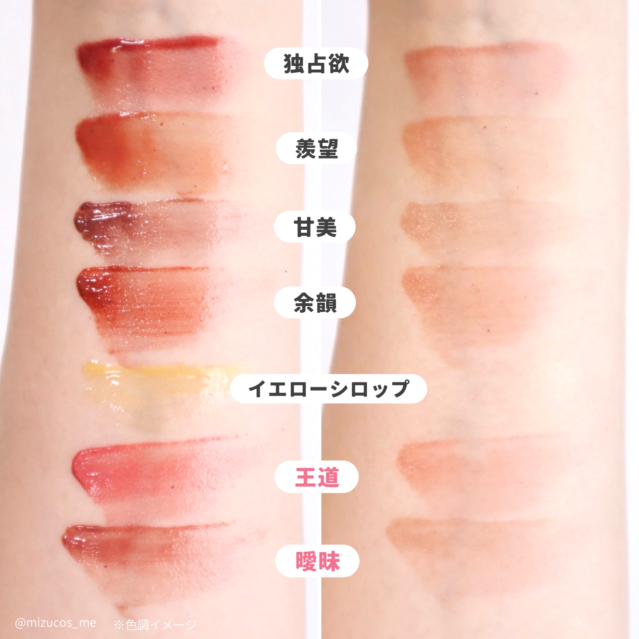 限定色レビュー】プランピーリップ｜Fujikoは落ちないのか？色持ち