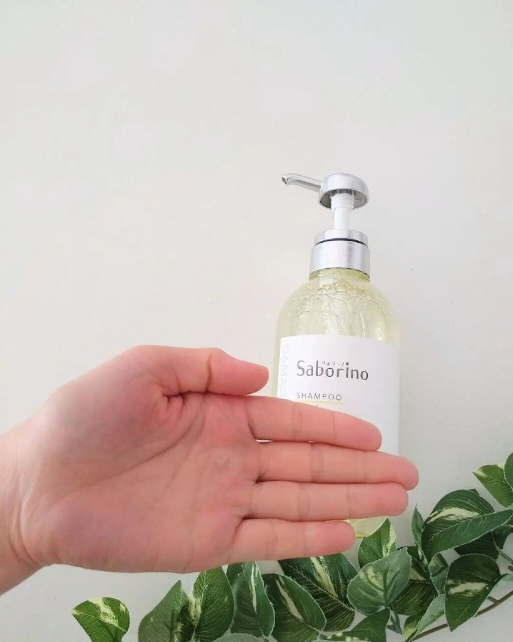 ハヤラクシャンプー モイスト/トリートメント モイスト シャンプー本体/サボリーノ/市販シャンプーを使ったクチコミ（3枚目）