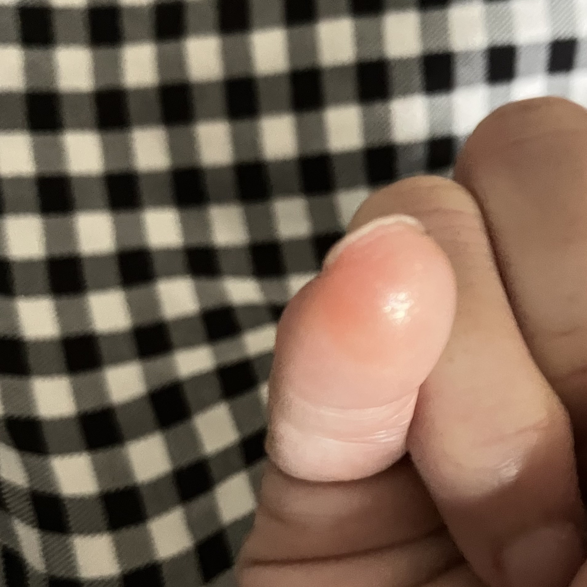 パラドゥ シングルアイシャドウ	 OR02 アイシーオレンジ/パラドゥ/単色アイシャドウを使ったクチコミ（3枚目）