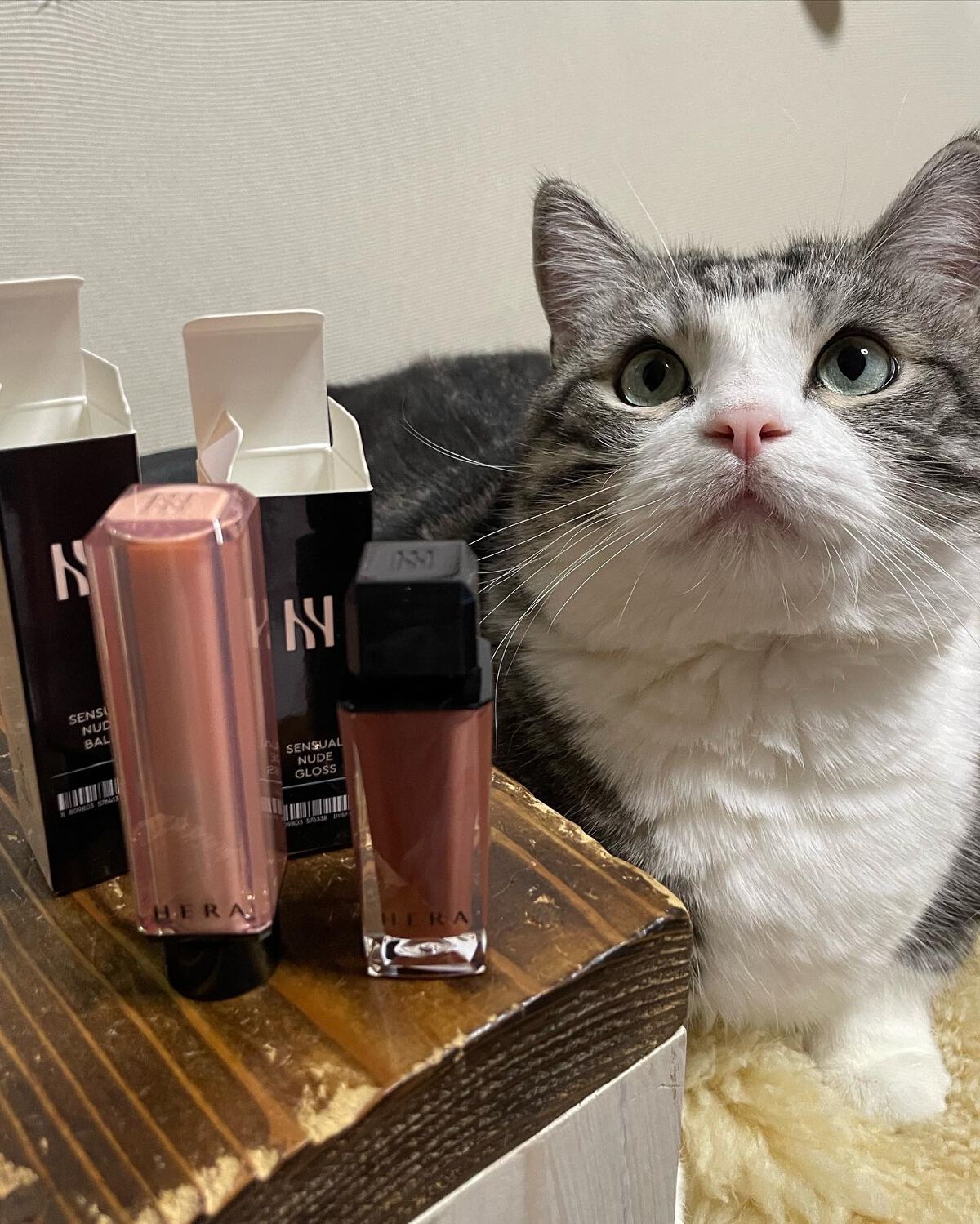 センシュアルヌードグロス/HERA/リップグロスを使ったクチコミ(1枚目)