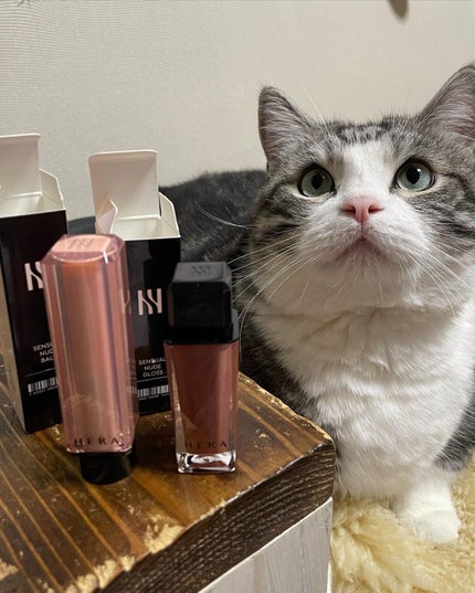 センシュアルヌードグロス/HERA/リップグロスを使ったクチコミ(1枚目)