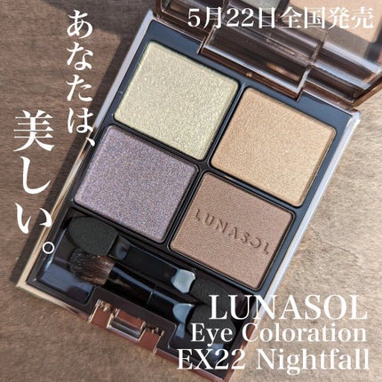 アイカラーレーション EX22 Nightfall(限定発売) / LUNASOL アイカラーレーション EX22 Nightfall(限定発売) / LUNASOL