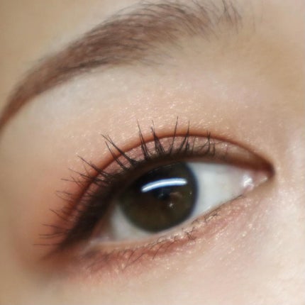 スキニーリッチシャドウ/excel/アイシャドウパレットを使ったクチコミ(5枚目)