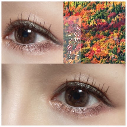 クライマックス アイシャドーパレット/NARS/アイシャドウパレットを使ったクチコミ(6枚目)