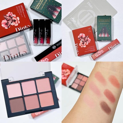 ブラーフィニシュシャドウパレット/Dinto/アイシャドウパレットを使ったクチコミ(4枚目)