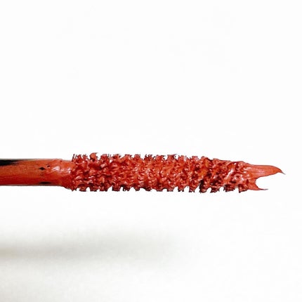 トーン ロング ラッシュ マスカラ/to/one/マスカラを使ったクチコミ(3枚目)