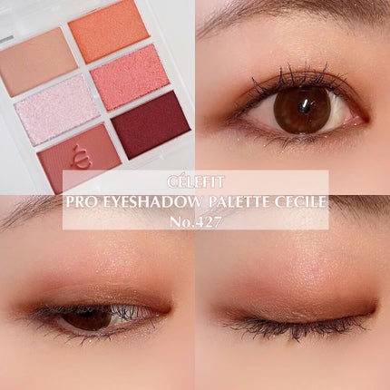 プロアイシャドウパレットセシル/CELEFIT/アイシャドウパレットを使ったクチコミ(1枚目)