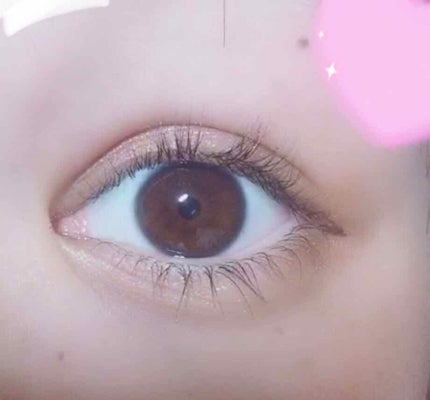 パーフェクトマルチアイズ/キャンメイク/アイシャドウパレットを使ったクチコミ(4枚目)